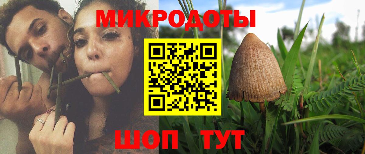 Галлюциногенные грибы GOLDEN TEACHER  Вход с VPN  Пугачёв 